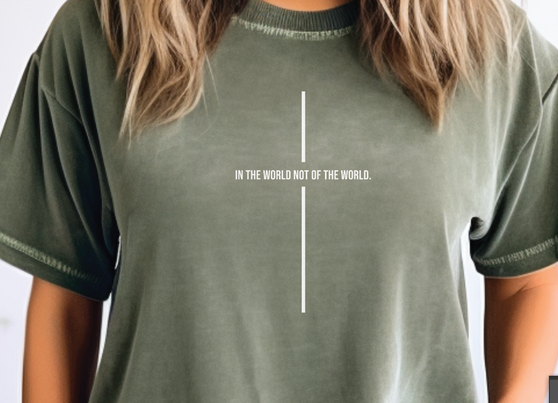 In the World Not of the World Vintage Unisex T-Shirt