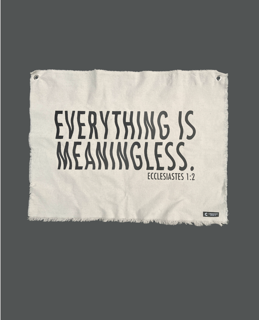 Everything Is Meaningless Flag